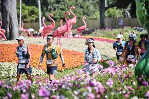 BIB: 
                            <button type="button" onclick="openModal(27794375)" class="btn btn-primary btn-sm float-right btn-popup" data-toggle="modal" data-target=".modal-high-quality">
                        <i class="fas fa-shopping-cart"></i> Add to Cart
                    </button>
                                            <button type="button" onclick="isThisMe(27794375, true)" class="btn btn-success btn-sm float-right btn-popup btn-isme hidden" data-toggle="tooltip" data-placement="bottom" title="นี่คือรูปของคุณใช่ไหม คลิกที่นี่เพื่อเอาเข้าอัลบั้ม">
                        <i class="fas fa-plus"></i> Add to album
                    </button>
                    <button type="button" onclick="isThisMe(27794375, false)" class="btn btn-warning btn-sm float-right btn-popup btn-isnotme hidden">
                        <i class="fas fa-ban"></i> Remove from album
                    </button>